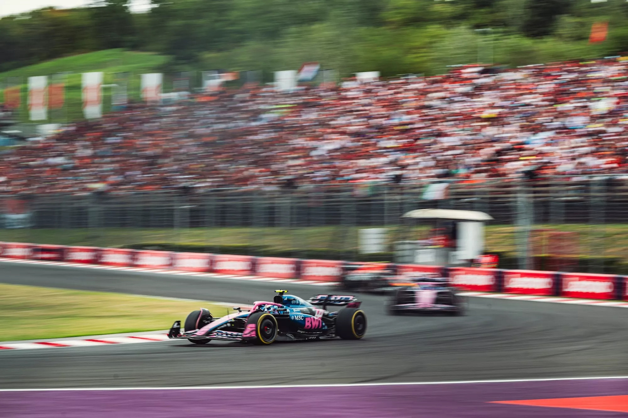 Franco Colapinto drives for Alpine F1 team at the Hungarian GP 2025